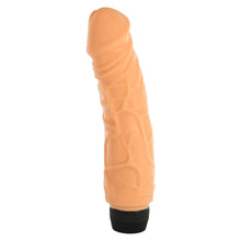 Load image into Gallery viewer, Multi Speed Penis Vibrator
