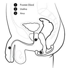 Load image into Gallery viewer, Aneros Helix Trident Series Helix Prostate Massager