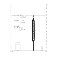 Load image into Gallery viewer, Ouch Diamond Studded Collar With Leash