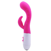 Load image into Gallery viewer, Silicone Dual Motors G-Spot Vibrator Pink