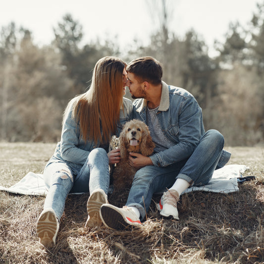 Turn Up The Usual Dog Walk With tech sex Toys