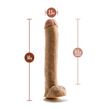 Load image into Gallery viewer, Dr. Skin Dr. Michael 14 Inch Dildo with Balls

