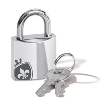 Load image into Gallery viewer, MyStim Pubic Enemy No 1 EStim Chastity Cock Cage
