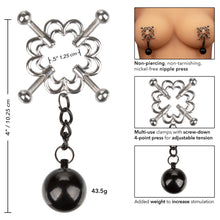 Load image into Gallery viewer, Nipple Grips  4 Point Weighted Nipple Press
