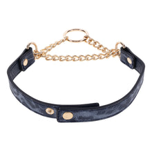 Load image into Gallery viewer, SportSheets Cougar Day Collar
