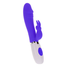Load image into Gallery viewer, ToyJoy Funky Rabbit Vibrator Purple
