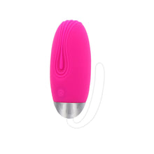 Load image into Gallery viewer, ToyJoy Funky Remote Egg Pink
