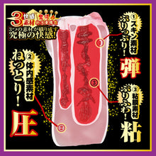 Load image into Gallery viewer, NPG Utensil Race Meiki File 004 Riho Fujimori Onahole
