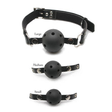 Load image into Gallery viewer, Fetish Fantasy Series Ball Gag Training System
