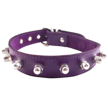 Load image into Gallery viewer, Rouge Garments Purple Nut Collar
